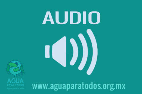 Audio-Programa Día Mundial del Agua.
