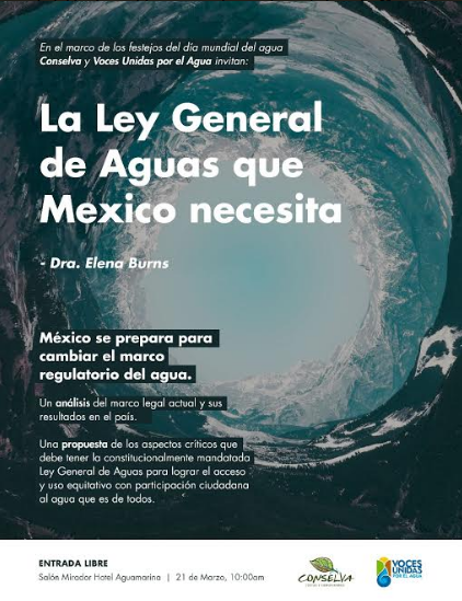 La ley general de aguas que México necesita (Elena Burns)