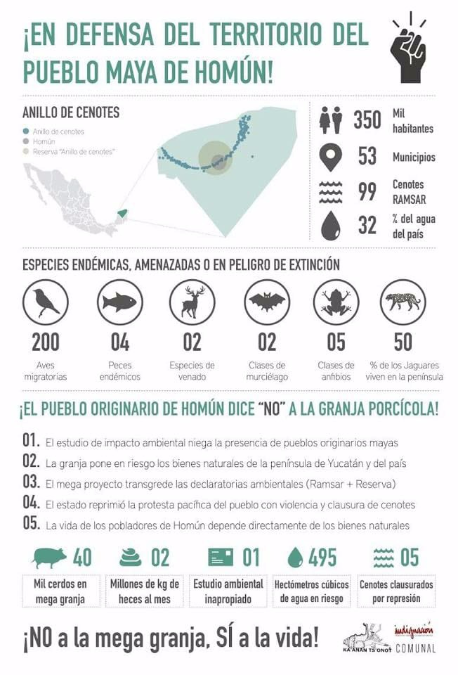 En defensa del territorio del pueblo maya de homun