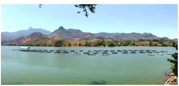 Indígenas piden estudio para determinar contaminación del Río Santiago en Nayarit