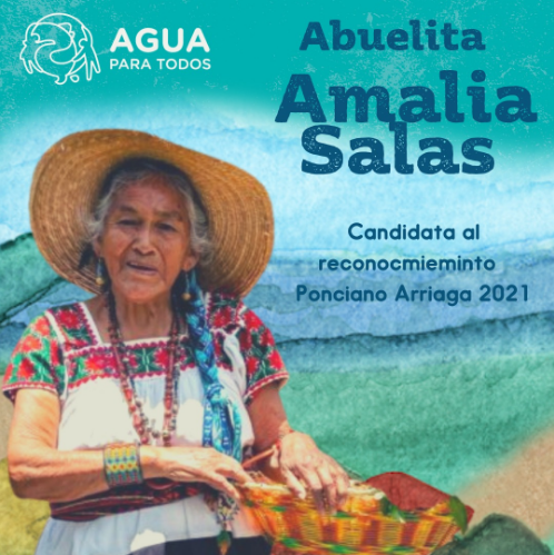 Postulación de la Abuelita Amalia al Reconocimiento en DHH «Ponciano Arriaga Lejía 2021»