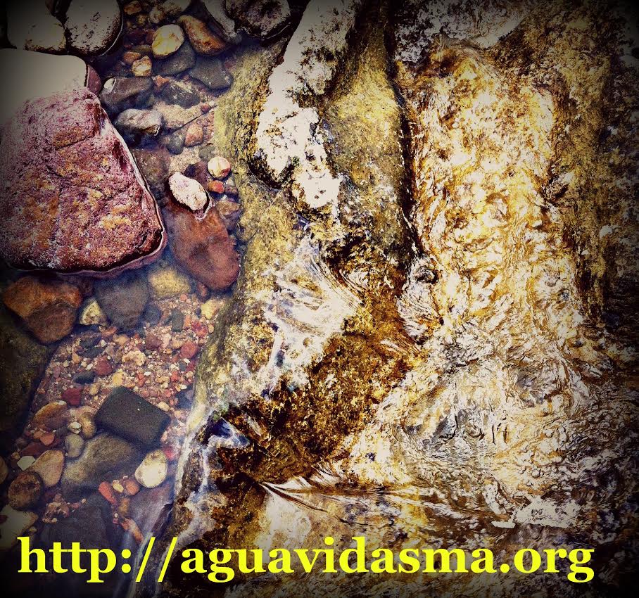 Visita la nueva página web de AguaVida SMA/Visit our New Website